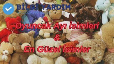 Oyuncak Ayı İsimleri & En Güzel İsimler