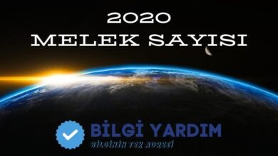 2020 Melek Sayısı