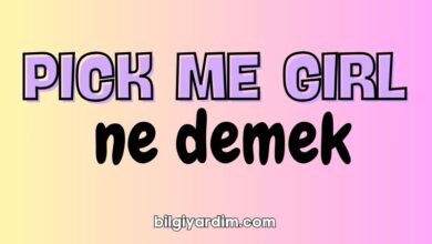 pick me girl ne demek